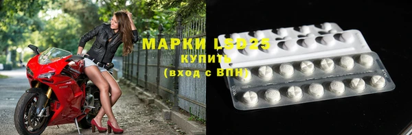 амф Горняк