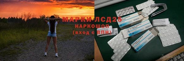 амф Горняк