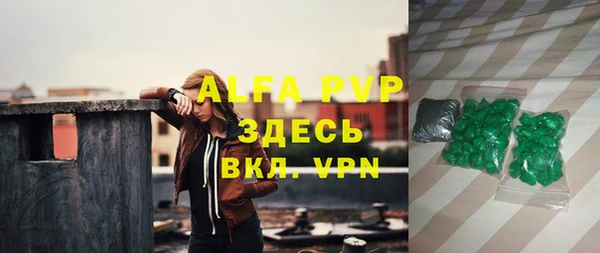 амф Горняк
