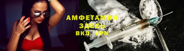 амф Горняк