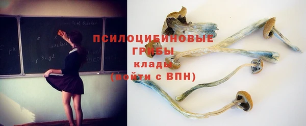 амф Горняк