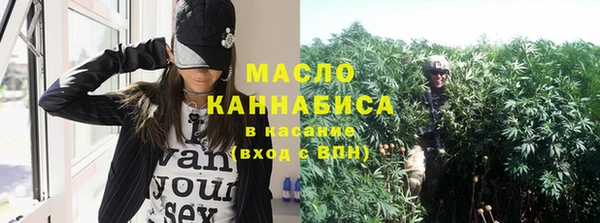 амф Горняк