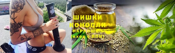 амф Горняк