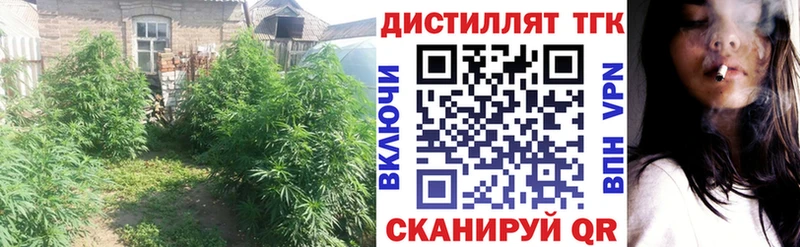 Дистиллят ТГК Wax  Пикалёво 