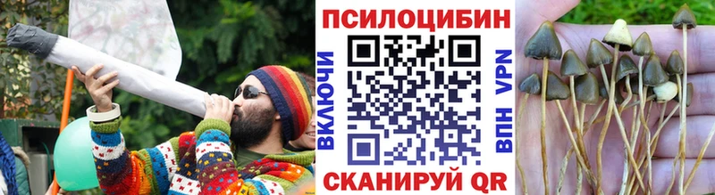 Галлюциногенные грибы Cubensis  Пикалёво 